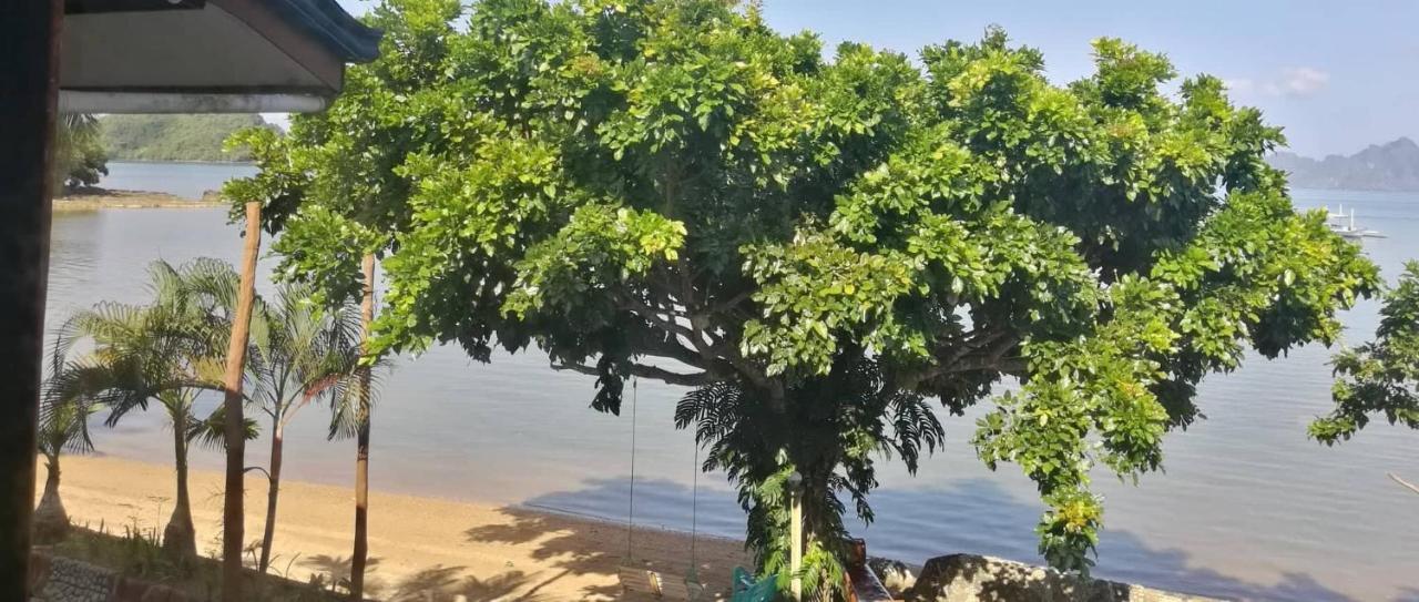 Four Seasons Seaview Hotel El Nido Bagian luar foto